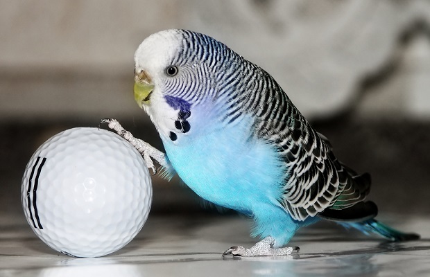 MUHABBET EDERKEN NELERE DİKKAT EDİLMELİ MUHABBET EDERKEN NELERE DİKKAT EDİLMELİ