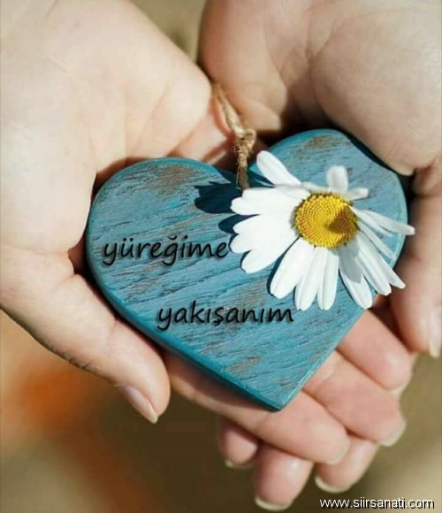 Ücretsiz Arkadaşlık Sohbet Siteleri